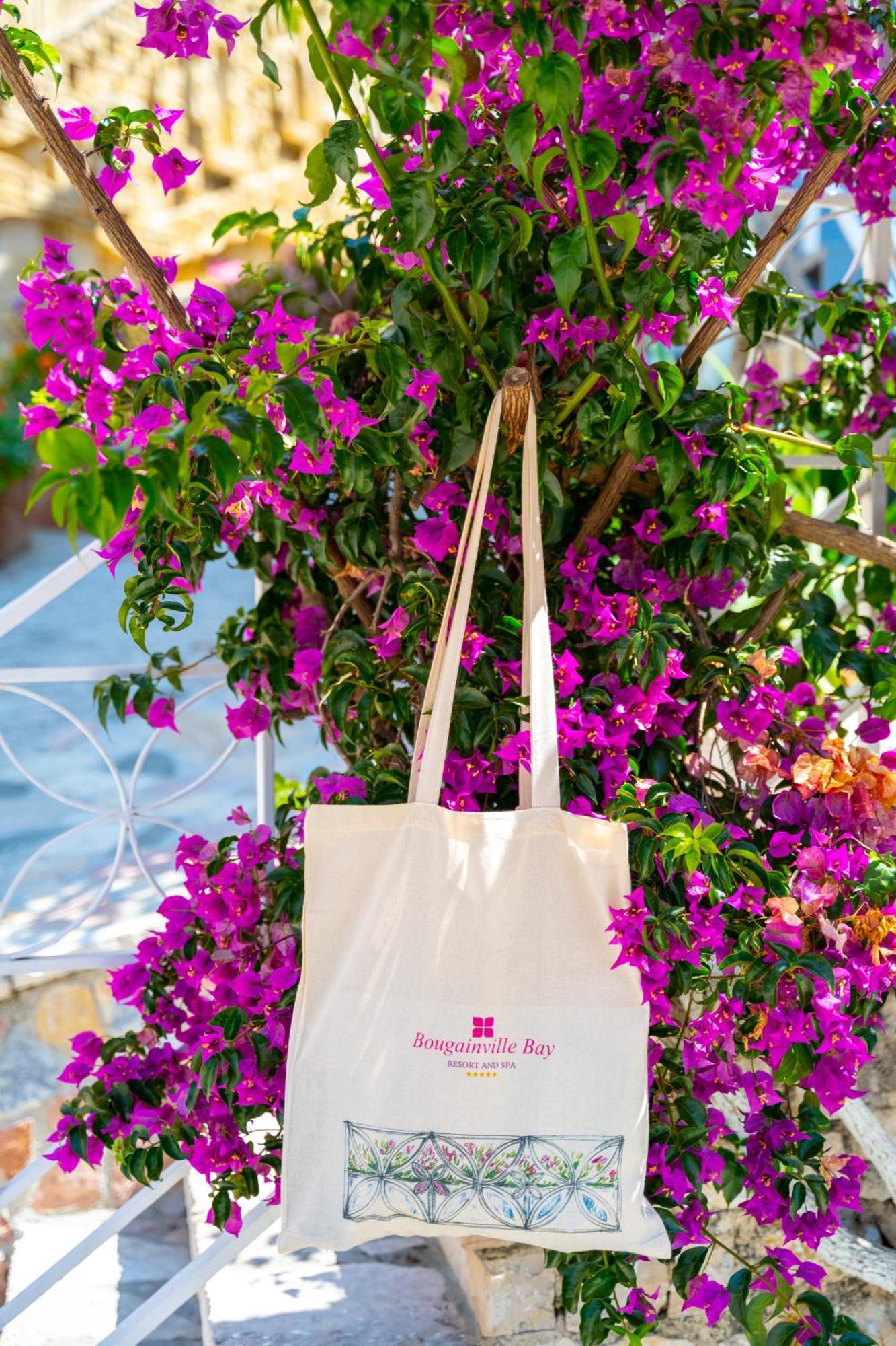 Bougainville Bay Hotel ซารานเดอ ภายนอก รูปภาพ A tote bag